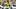 Gabriel Martinelli Brazil Gabriel Martinelli Brazil