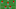 Morocco’s predicted starting XI for the 2026 World Cup. Morocco’s predicted starting XI for the 2026 World Cup.