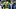 oregon ducks iapani poncho laloulu offensive line dan lanning fall camp immanuel iheanacho tommy tofi michael bennett oregon ducks iapani poncho laloulu offensive line dan lanning fall camp immanuel iheanacho tommy tofi michael bennett