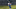 Alex Smalley of Duke University is tied with Maverick McNealey for first place going into Round 3 of 2026 PGA Championship Alex Smalley of Duke University is tied with Maverick McNealey for first place going into Round 3 of 2026 PGA Championship