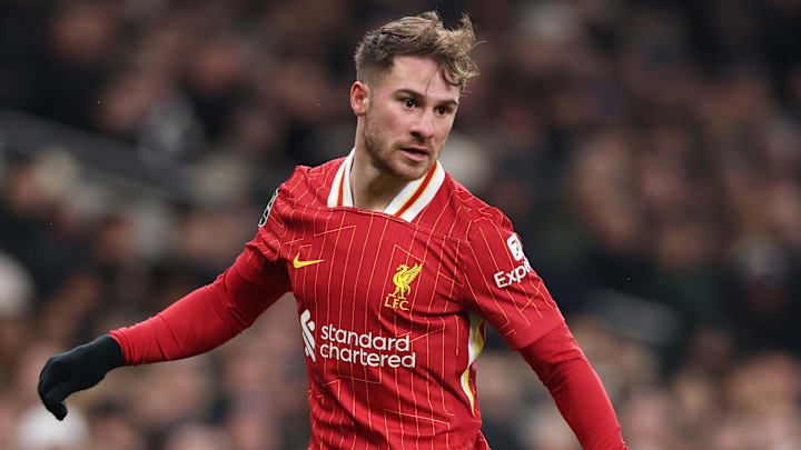 Alexis Mac Allister has been a transfer hit for Liverpool