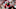 NFL Mock Draft 2027, LaNorris Sellers NFL Mock Draft 2027, LaNorris Sellers