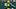 Green Bay Packers place kicker Trey Smack kicks off during the first quarter of their preseason game against the Cardinals. Green Bay Packers place kicker Trey Smack kicks off during the first quarter of their preseason game against the Cardinals.