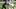 Seattle Seahawks linebacker Boye Mafe Seattle Seahawks linebacker Boye Mafe