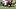 Pittsburgh Steelers wide receiver Germie Bernard (17) Pittsburgh Steelers wide receiver Germie Bernard (17)