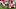 Ohio receiver Eian Pugh (12) is tackled by Nebraska defensive lineman Williams Nwaneri (96), defensive back Donovan Jones (8) Ohio receiver Eian Pugh (12) is tackled by Nebraska defensive lineman Williams Nwaneri (96), defensive back Donovan Jones (8)