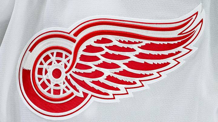 Jan 10, 2026; Montreal, Quebec, CAN; View of a Detroit Red Wings logo on a jersey worn by a member of the team during warm-up before the game against the Montreal Canadiens at Bell Centre. Jan 10, 2026; Montreal, Quebec, CAN; View of a Detroit Red Wings logo on a jersey worn by a member of the team during warm-up before the game against the Montreal Canadiens at Bell Centre.