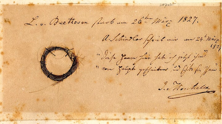 A lock of Ludwig van Beethoven's hair in the collection of San José State University.