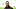 Werder-Coach Daniel Thioune Werder-Coach Daniel Thioune
