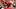 Tampa Bay Buccaneers HC Todd Bowles Tampa Bay Buccaneers HC Todd Bowles