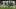 Besiktas team photo