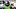 Oregon Ducks Akili Smith Jr quarterback Dante Moore Dylan Raiola fall camp football recruiting depth chart development Oregon Ducks Akili Smith Jr quarterback Dante Moore Dylan Raiola fall camp football recruiting depth chart development