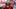 Tampa Bay Buccaneers wide receiver Jalen McMillan (11) warms up before the game against the Carolina Panthers  