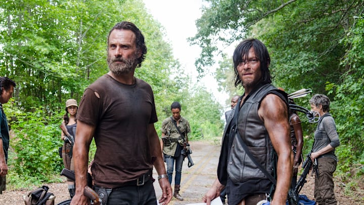 Lauren Cohan as Maggie Greene, Steven Yeun as Glenn Rhee, Josh McDermitt as Dr. Eugene Porter, Christian Serratos as Rosita Espinosa, Andrew Lincoln as Rick Grimes, Sonequa Martin-Green as Sasha, Norman Reedus as Daryl Dixon and Melissa McBride as Carol Peletier - The Walking Dead season 5 Lauren Cohan as Maggie Greene, Steven Yeun as Glenn Rhee, Josh McDermitt as Dr. Eugene Porter, Christian Serratos as Rosita Espinosa, Andrew Lincoln as Rick Grimes, Sonequa Martin-Green as Sasha, Norman Reedus as Daryl Dixon and Melissa McBride as Carol Peletier - The Walking Dead season 5