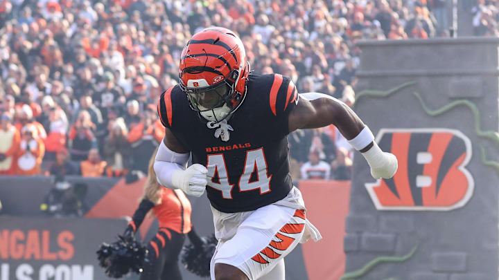 NFL: JAN 04 Browns at Bengals