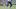 El receptor abierto de los Buffalo Bills, Keon Coleman, hace una atrapada durante el minicampamento de los Buffalo Bills. El receptor abierto de los Buffalo Bills, Keon Coleman, hace una atrapada durante el minicampamento de los Buffalo Bills.