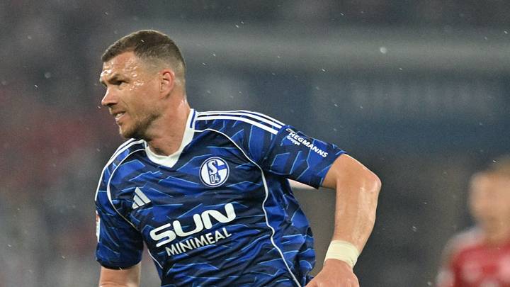 Die Hegmanns Gruppe auf dem Schalker Ärmel Die Hegmanns Gruppe auf dem Schalker Ärmel