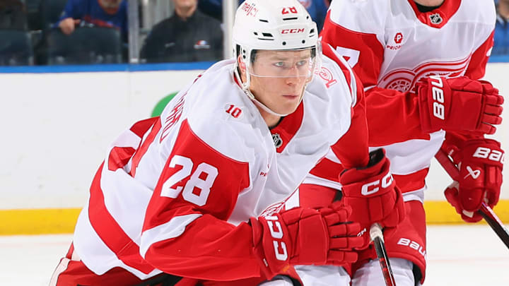 Detroit Red Wings v New York Islanders