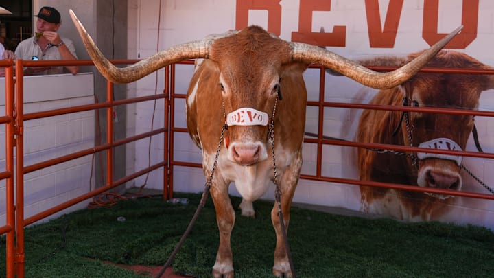 Texas Longhorns mascot, Bevo XV, poses for the camera before UT's football game against the Mississippi State Bulldogs at Darrell K Royal-Texas Memorial Stadium earlier this season.