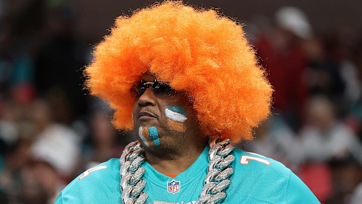 Miami Dolphins fan Miami Dolphins fan
