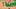 Mitchell Robinson Mitchell Robinson