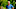 Jeff Probst in the jungle during Survivor