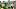 oregon ducks schedule dan lanning portland state vikings boise broncos oklahoma cowboys mike gundy nil tv college football oregon ducks schedule dan lanning portland state vikings boise broncos oklahoma cowboys mike gundy nil tv college football
