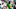 Oregon Ducks college football 2026 top 25 usa today dante moore dan lanning eugene autzen stadium