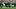 Seattle Seahawks running back Jacardia Wright (31) carries the ball during a preseason game