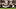 Oklahoma Sooners, Owen Heinecke Oklahoma Sooners, Owen Heinecke