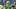 oregon ducks quarterback dante moore dylan raiola dillon gabriel transfer portal dan lanning college football playoff bo nix oregon ducks quarterback dante moore dylan raiola dillon gabriel transfer portal dan lanning college football playoff bo nix