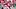 Sep 5, 2026; Columbus, Ohio, USA; Ohio State Buckeyes running back Bo Jackson (25) scores a touchdown on a long run during t Sep 5, 2026; Columbus, Ohio, USA; Ohio State Buckeyes running back Bo Jackson (25) scores a touchdown on a long run during t