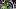 Seattle Seahawks in a 2022 game versus the Denver Broncos. Seattle Seahawks in a 2022 game versus the Denver Broncos.