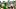 Oregon Ducks Dakorien Moore Oklahoma State Cowboys Dakota Guerrant Honor Fa'alave-Johnson Texas Longhorns Dan Lanning Oregon Ducks Dakorien Moore Oklahoma State Cowboys Dakota Guerrant Honor Fa'alave-Johnson Texas Longhorns Dan Lanning