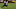 Zay Flowers, Baltimore ravens Zay Flowers, Baltimore ravens