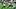 Pittsburgh Steelers running back Jaylen Warren Pittsburgh Steelers running back Jaylen Warren