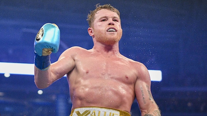 "Canelo" acumula millonarias ganancias a lo largo de su carrera profesional