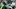  Oregon Ducks Dylan Raiola college football 2026 backup quarterback rankings NCAA quarterbacks Oregon football