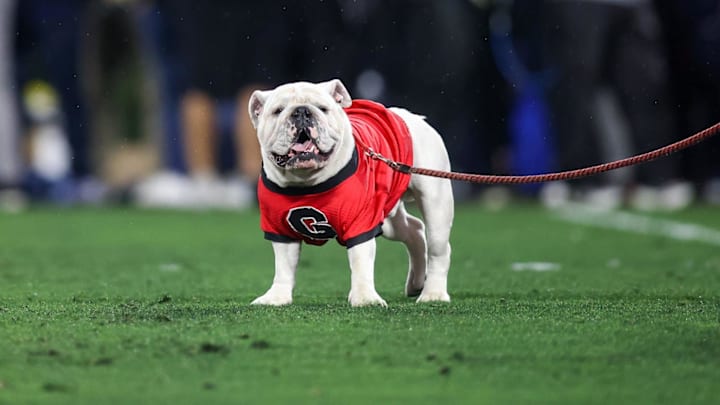 Nov 11, 2023; Athens, Georgia, USA; Georgia Bulldogs mascot Uga on the field before a game against the Mississippi Rebels at Sanford Stadium. Mandatory Credit: Brett Davis-Imagn Images