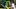 Oregon Ducks wide receivers 2026 Dan Lanning Dakorien Moore Evan Stewart Jeremiah McClellan college football Oregon Ducks wide receivers 2026 Dan Lanning Dakorien Moore Evan Stewart Jeremiah McClellan college football