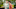 Kit Connor as Nick Nelson and Joe Locke as Charlie Spring in Heartstopper season 3 Kit Connor as Nick Nelson and Joe Locke as Charlie Spring in Heartstopper season 3