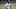 LSU Tigers 