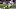 Minnesota Vikings Minnesota Vikings