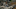 Murderbot_Photo_010908 Murderbot_Photo_010908
