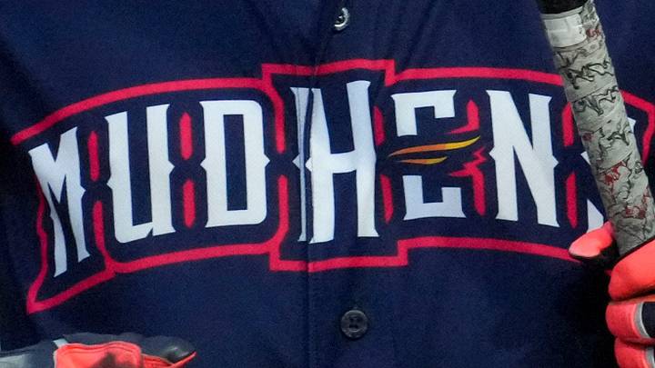 Toledo Mud Hens logo. Toledo Mud Hens logo.