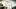 The Walking Dead Mini Museum Kickstarter Teaser The Walking Dead Mini Museum Kickstarter Teaser