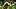 Oregon outside linebacker Teitum Tuioti, left, defensive lineman A'Mauri Washington and outside linebacker Matayo Uiagalelei Oregon outside linebacker Teitum Tuioti, left, defensive lineman A'Mauri Washington and outside linebacker Matayo Uiagalelei