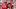 Tampa Bay Buccaneers defensive tackle Vita Vea (50) and defensive end Elijah Roberts (95) react during the first quarter Tampa Bay Buccaneers defensive tackle Vita Vea (50) and defensive end Elijah Roberts (95) react during the first quarter