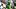 oregon ducks dan lanning legarrette blount josiah molden haloti sam ngata recruiting rashaad sample koa kaai running back oregon ducks dan lanning legarrette blount josiah molden haloti sam ngata recruiting rashaad sample koa kaai running back