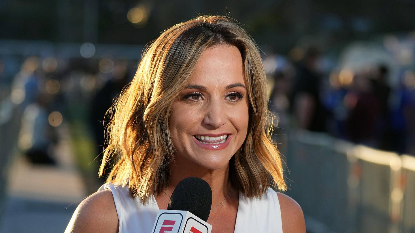 Dianna Russini’s ‘Divorce’ Comment Resurfaces Amid Growing Mike Vrabel